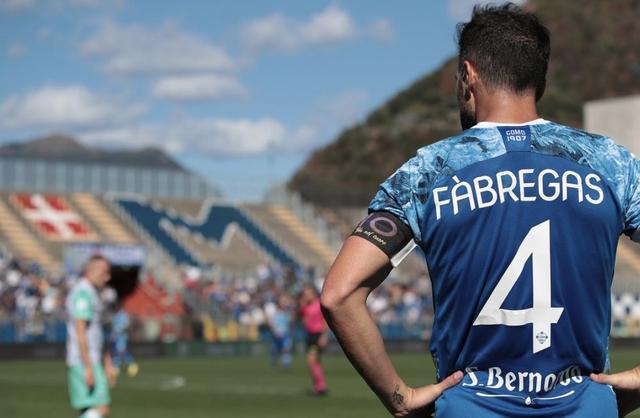 分青岛胜四 分青岛胜四