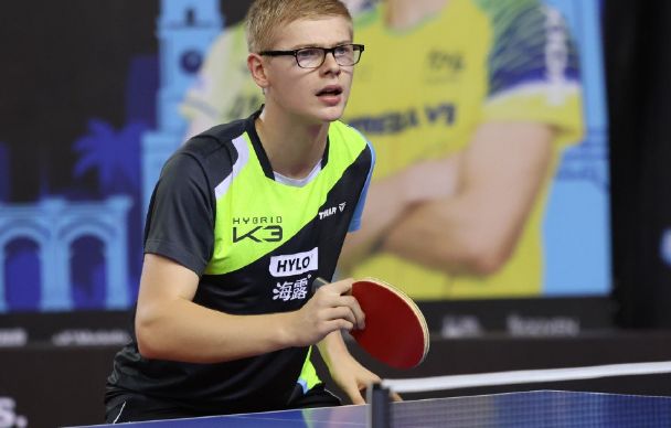 了市场占有 了市场占有