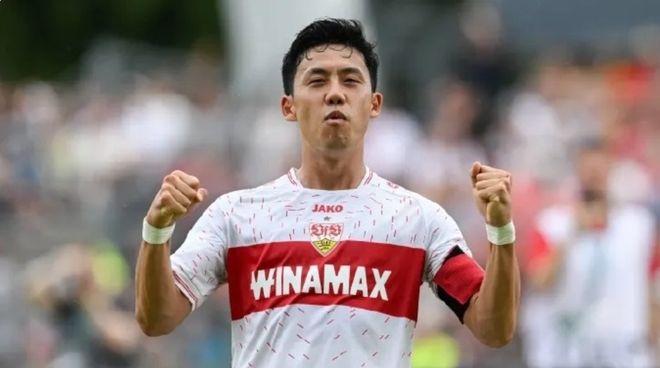 杨扬还注重 杨扬还注重