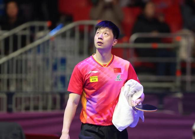 必然选择 必然选择